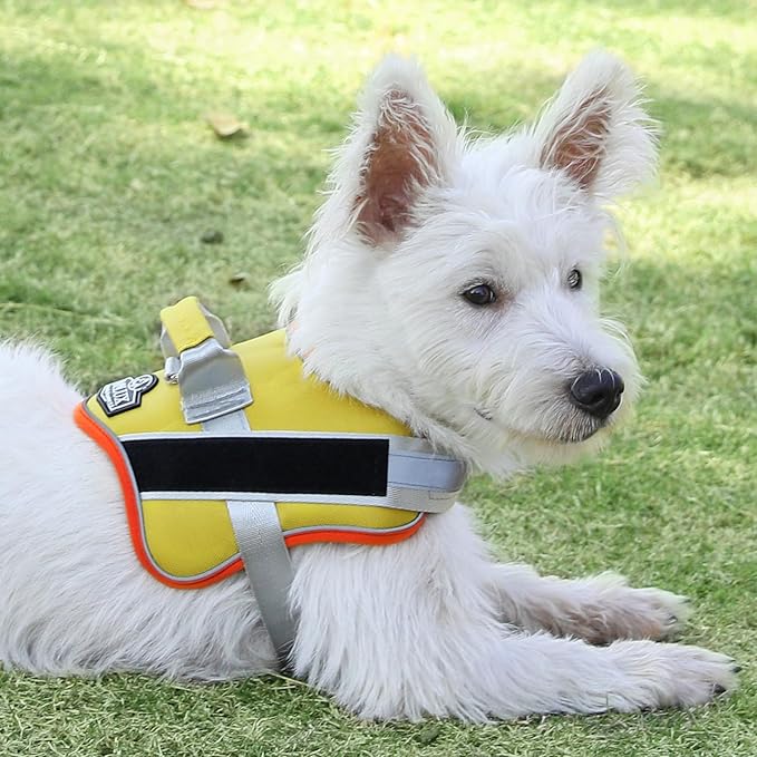 Bolux Dog Harness, No-Pull Reflective Dog Vest, Breathable Adjustable Pet Harness with Handle for Outdoor Walking - No More Pulling, Tugging or Choking (XX-Large (Pack of 1), YellowOrange)