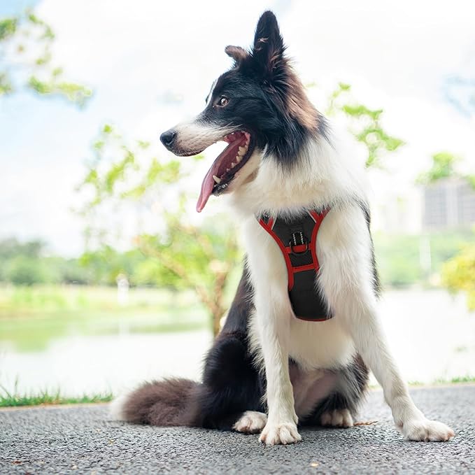 PHOEPET 2019 Upgraded No Pull Dog Harness, Reflective Adjustable Vest, with a Training Handle + 2 Metal Leash Hooks+ 3 Snap Buckles +4 Slide Buckles(L, Black)