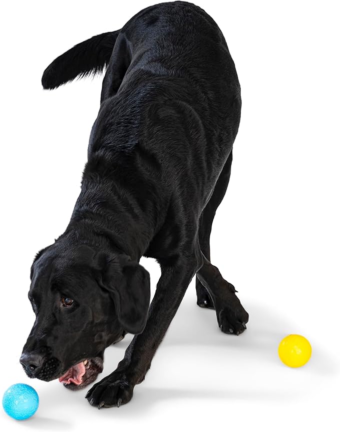 WEST PAW Boundr Ball Dog Fetch Toy – Bouncing Toys for Dogs, Fetch, Catch, Chewing, Play – Floatable, Recyclable Balls – Small Aqua Blue/Dandelion Yellow 2-Pack
