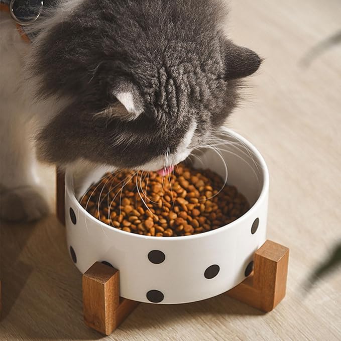 Petygooing Ceramic Dog Bowl Set with Stand - Cat & Dog Food and Water Bowl, Medium Size - Anti-Slip, 28 OZ / 3.6 Cups, Black Dot