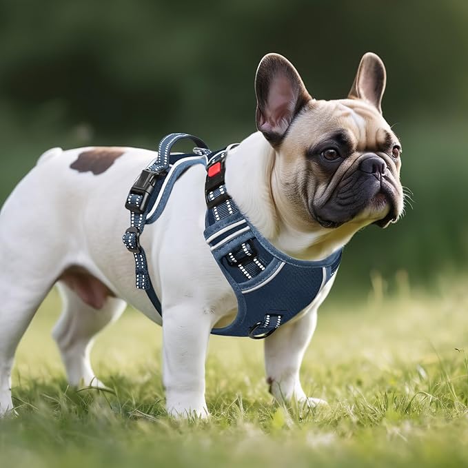 Timos Dog Harness Small Sized, No Pull Pet Harness with Neck Lockable Snap,No Choke Front Clip Dog Reflective Vest,Adjustable Metal Rings 3 Buckles,Easy Control Handle for Small Dogs Royal Blue S