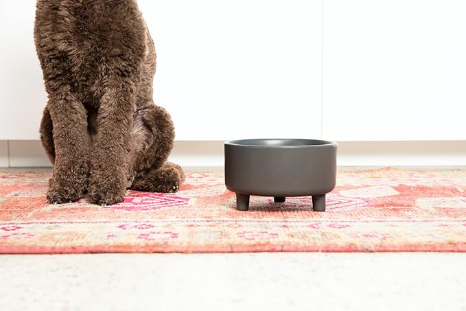 Waggo Uplift Ceramic Dog Bowl for Small Medium and Large Breeds - Heavyweight and Durable Pet Food and Water Dish Crock, Dishwasher Safe, Modern, Elevated Feeder (Teracotta, Medium)