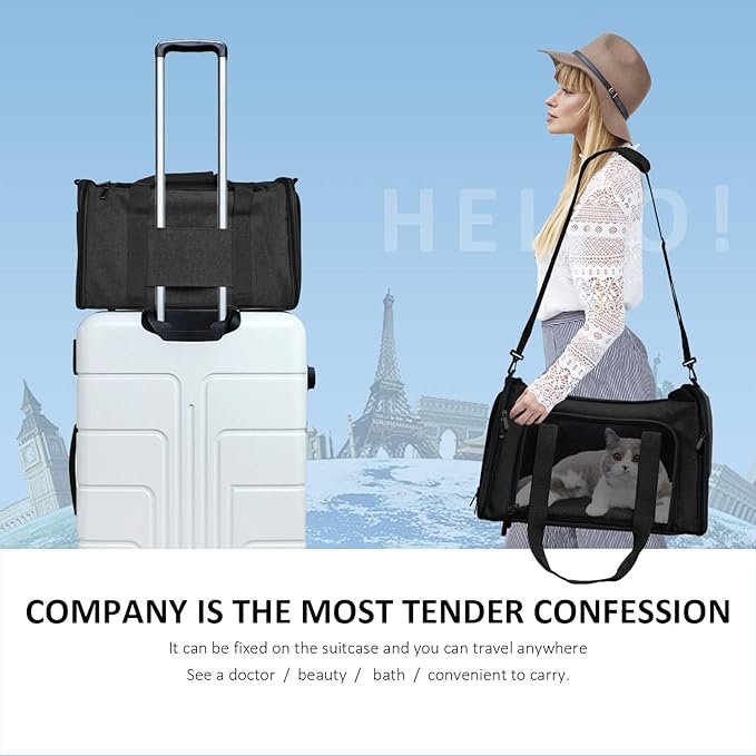 Large Soft Sided Cat and Pet Carrier for Cats and Puppies up to 25Lbs - Collapsible, Waterproof Travel Carrier - Black