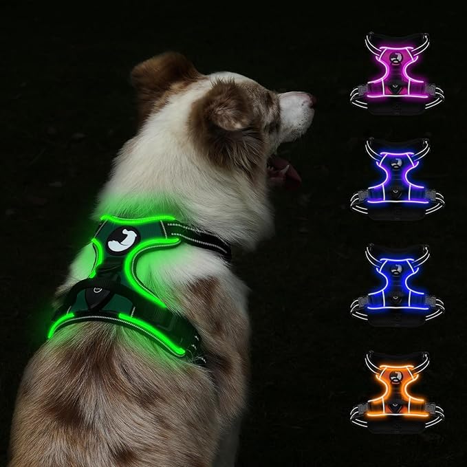 Taglory Light Up Dog Harness, Rechargeable No Pull Dog Vest with 3 Lightning Modes, Reflective Dog Harness with 2 Leash Clips & 4 Adjustable Slide Strips for Medium Dogs, Turquoise-Green, M