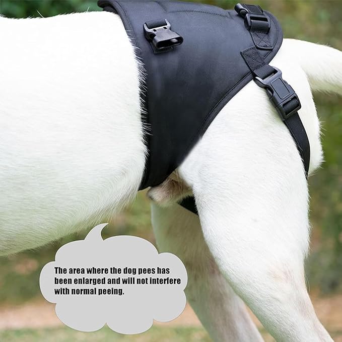 Dog Lift Harness for Dogs with Disabled Arthritis and Weak Back Legs, humanized Design with Comfortable Materials, Adjustable Back Legs and Straps, Suitable for Helping Dogs to Recover and Walk. (L)