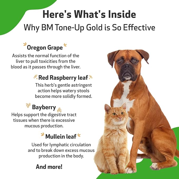 Pet Wellbeing BM Tone-Up Gold for Dogs & Cats - Supports Healthy Digestive Function, Solid Stools, Normal Bowel Movements, Bayberry - Veterinarian-Formulated Herbal Supplement 4 oz (118 ml)