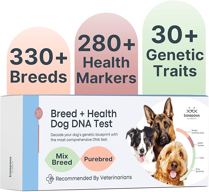 Basepaws Dog DNA Testing Kit - 300+ Breeds, 280+ Health Risks, and 30+ Traits - Comprehensive Mixed Breed Identification, Pet DNA Test kit, Canine Genetic Ancestry and Heritage