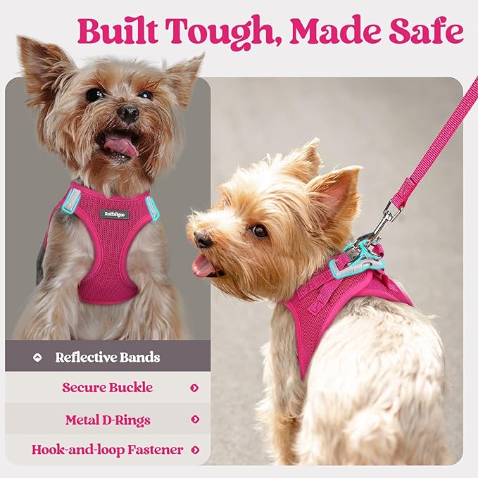 rabbitgoo Dog Harness Small Sized and Leash Set, Step in Soft Light Puppy Vest, Breathable Mesh Pet Harness, Reflective for Safe Easy Walking, Rose Red XS