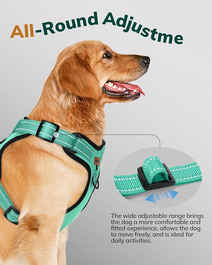 MIDOG No-Pull Dog Harness | Adjustable & Reflective Pet Harness Leash Set for Small Medium Large Dogs Walking, Training| No Choke, Front Clip, Soft Padded Vest with Easy Control Handle - Green, M
