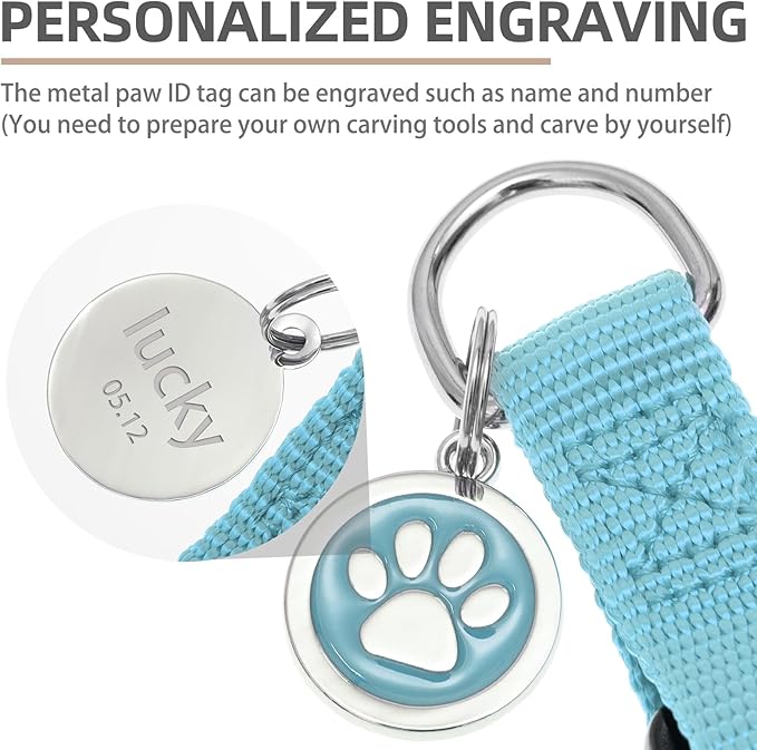 PUPTECK No Pull Dog Harness Soft Adjustable Basic Nylon Step in Puppy Vest Outdoor Walking with ID Tag and A-ir Tag Case, Sky Blue, S