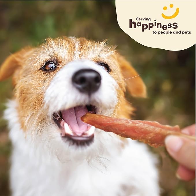 Pet 'n Shape Chik 'n Skewers – Chicken Wrapped Rawhide Dog Chew