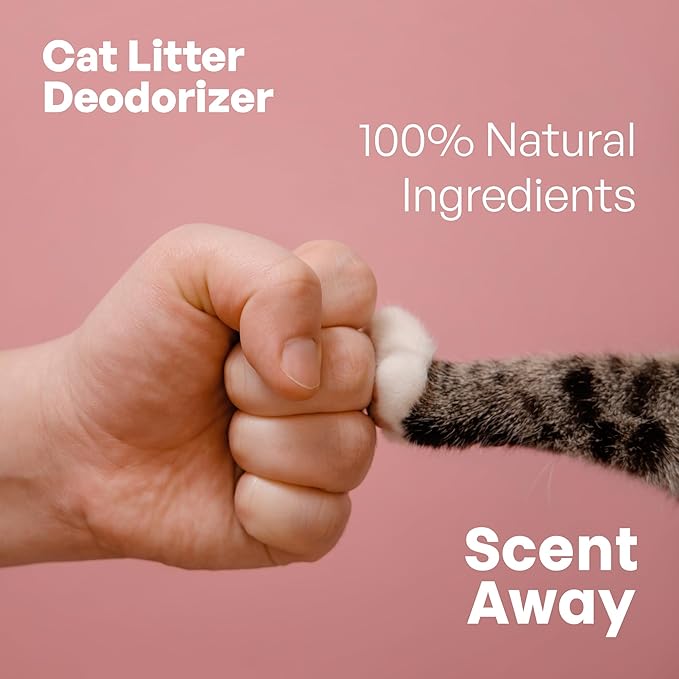 Cat Litter Deodorizer | Litter Box Odor Eliminator | Fragrance-Free with Active Carbon | Eliminates Cat Odors and Smells to Keep Your Home Fresh and Clean (Pack of 3)