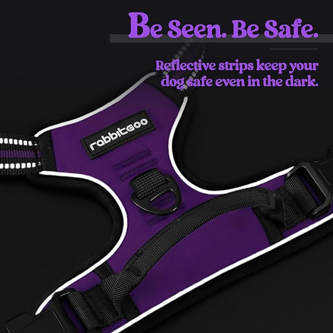 rabbitgoo Dog Harness No Pull with 2 Leash Clips, Adjustable Soft Padded, Reflective Oxford No Choke Pet Vest with Easy Control Handle for Small Dogs, Purple, S