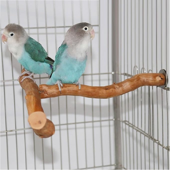 Wood Bird Perch, T Shaped Birdcage Stand Wooden Parrot Perch Stand Perch for Bird Cage Grinding Bird Perch Branches, T Perch Bird Accessory, Easy to Install