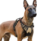 rabbitgoo Dog Harness for Large, No Pull Pet Harness with 3 Buckles, Adjustable Soft Padded Vest with Control Handle, Walking Reflective Pet Vest for Extra Large Dogs, Beige, XL