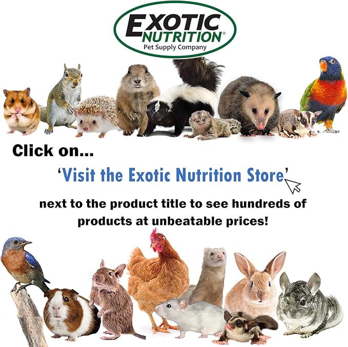 All-Natural Nesting Material (4 oz.) - 100% Cotton Eco-Friendly Animal Bedding - For Sugar Gliders, Squirrels, Hamsters, Rabbits, Chinchillas, Rats, Mice, Gerbils, Guinea Pigs and Other Small Pets
