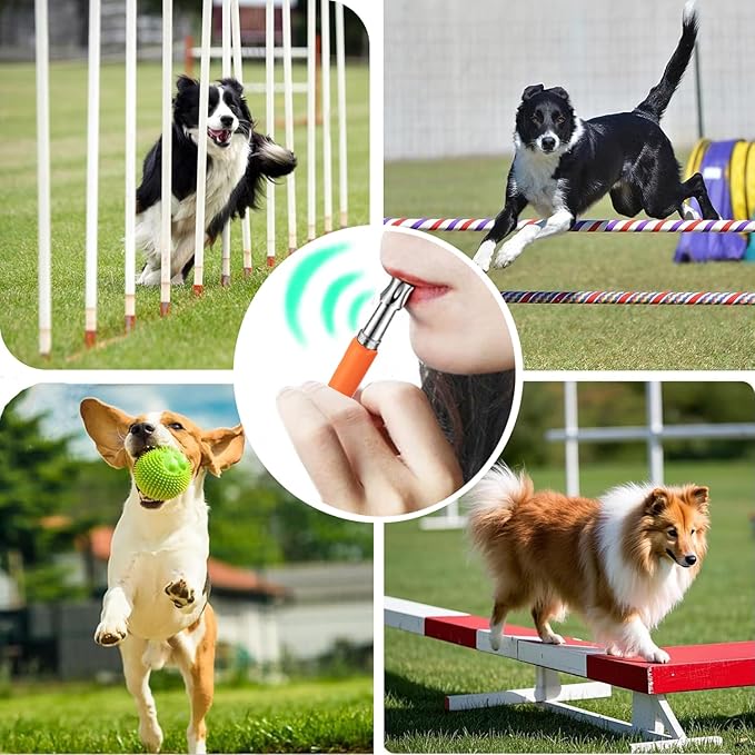3 PCS Dog Whistles Set, Adjustable Recall Dog Training Whistle Silent Dog Whistle to Stop Barking with Lanyard,Dog Clicker(Orange)