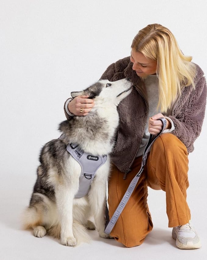 2025 New Edition, Fei & Eve MagEase Dog Harness - 3-Second Magnetic Buckles | 3-Point No-Pull Control | Heavy-Duty 900D Nylon | Dual Safety Handles | Breathable Mesh | Adjustable Fit | X-Large, Gray