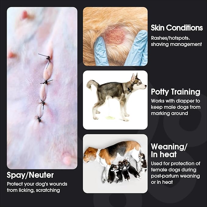 FUAMEY Dog Recovery Suit Male,Dogs Surgery Neuter Suits Puppy Spay Shirts for Female Protect Dog's Skin Anti Licking Abdominal Wounds Doggie Onesie Pet Bodysuit Alternative to Cone Orange L