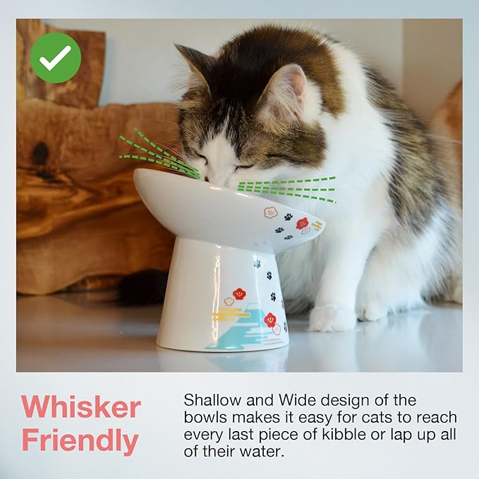 Necoichi Extra Wide Raised Cat Food Bowl, Elevated, Prevent Neck & Whisker Fatigue, Dishwasher and Microwave Safe, No.1 Seller in Japan! (Fuji, Extra Wide Tilted)