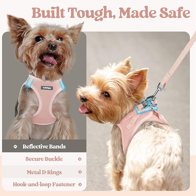 rabbitgoo Dog Harness Small Sized and Leash Set, Step in Soft Light Puppy Vest, Breathable Mesh Pet Harness, Reflective for Outdoor Safe Walking, Pink XXL