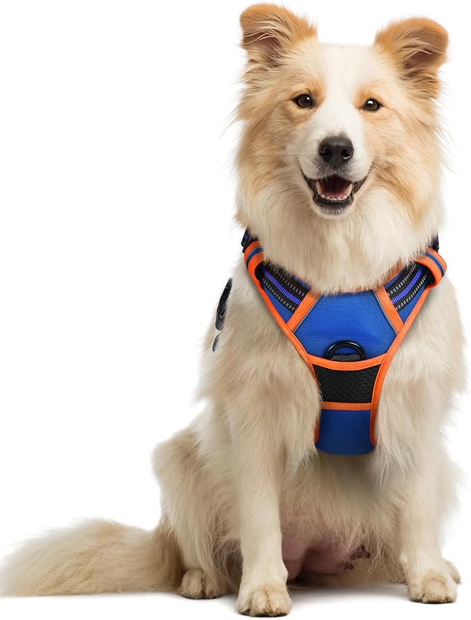 rabbitgoo Dog Harness No Pull with 2 Leash Clips, Adjustable Soft Padded, Reflective Oxford No Choke Pet Vest with Easy Control Handle for Medium Sized Dogs, Blue & Orange, M