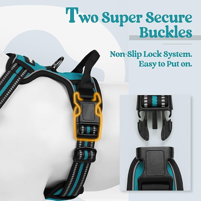 rabbitgoo Dog Harness No Pull with 2 Leash Clips, Adjustable Soft Padded, Reflective Oxford No Choke Pet Vest with Easy Control Handle for Large Dogs, Teal, L