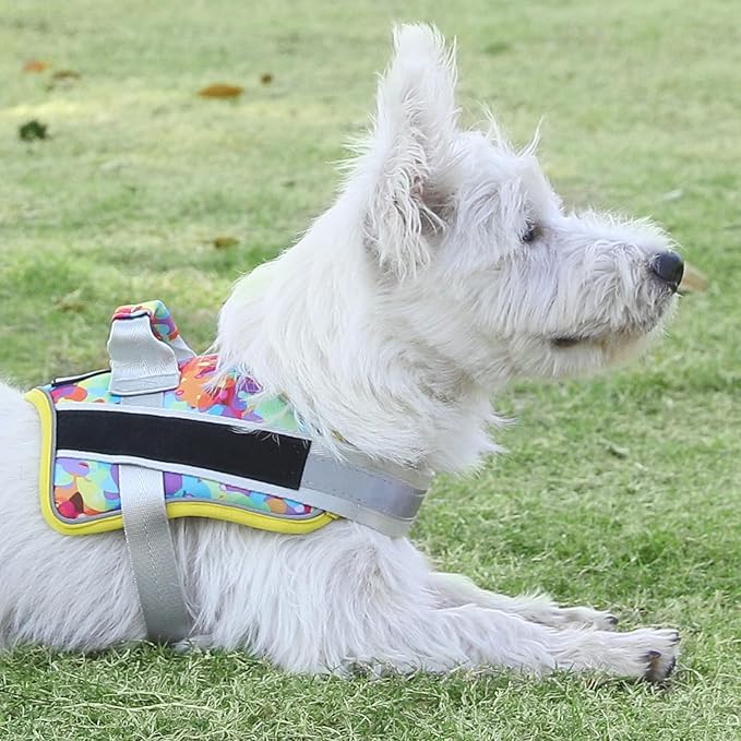 Bolux Dog Harness, No-Pull Reflective Dog Vest, Breathable Adjustable Pet Harness with Handle for Outdoor Walking - No More Pulling, Tugging or Choking (Small (Pack of 1), Watercolour)
