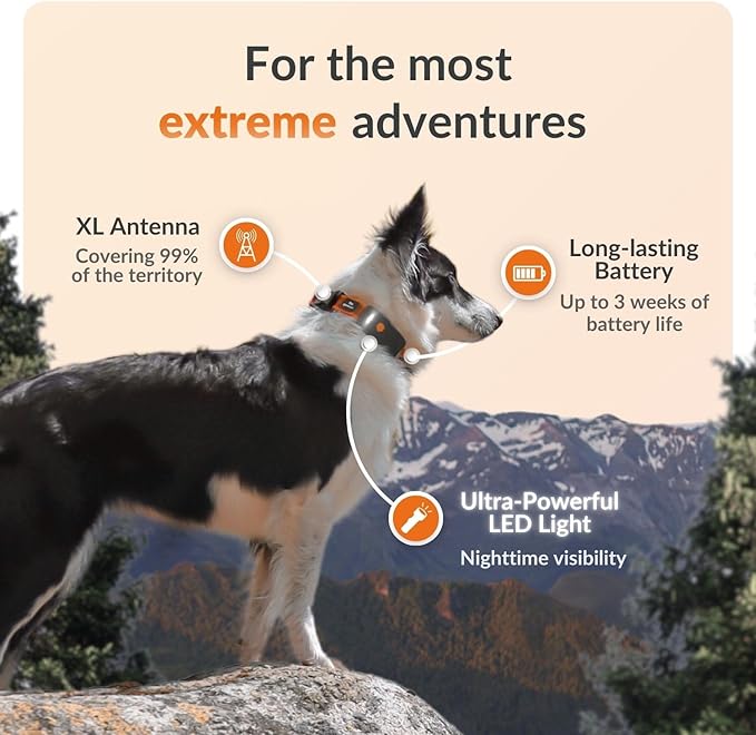 Weenect Dog XT - New GPS Collar for Dogs | XL Antenna | Waterproof | Ultra-Durable Integrated Julius-K9 Collar | Subscription Required