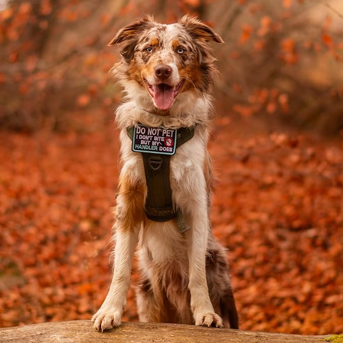 rabbitgoo Dog Harness Medium Sized No Pull, Tactical Service Pet Vest with Molle and Control Handle, Adjustable and Reflective Military Harness for Easy Walking and Training, Brown, M