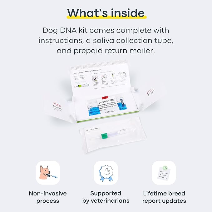 Basepaws Cat DNA Test Kit - Comprehensive Breed, Health and Dental Analysis Across 114 Traits for Accurate and Easy-to-Use Genetic Insights