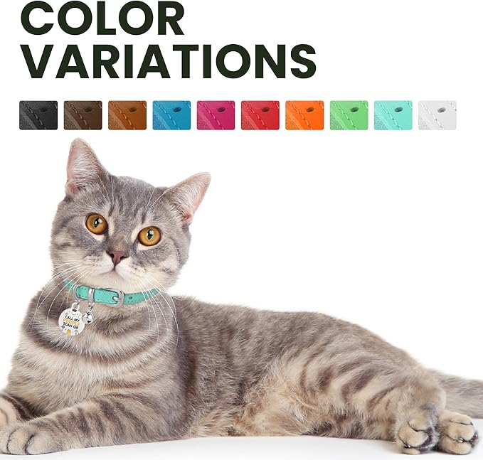 BRONZEDOG Leather Cat Collar with Removable Bells Non Breakaway Kitten QR Tag for Girl Boy (7" - 9" for Cats, Turquoise & Silver)