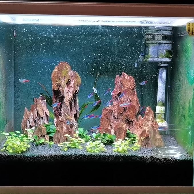 Natural Dragon Rock Carefully Selected Mixed Sizes, Decorative Aquarium Rocks, Aquarium Stones for Fish Tank (7.1lb-Large)