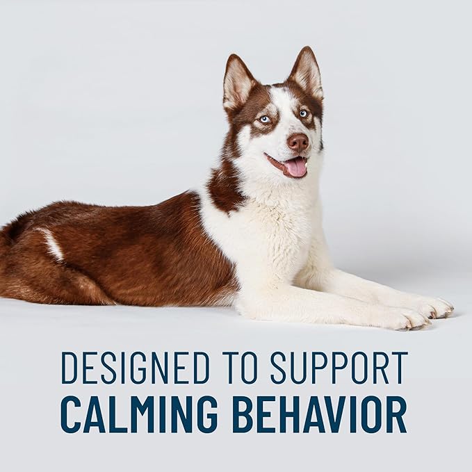 Nutramax Solliquin Calming Behavioral Health Supplement for Large Dogs - with L-Theanine, Magnolia/Phellodendron, and Whey Protein Concentrate, 75 Soft Chews