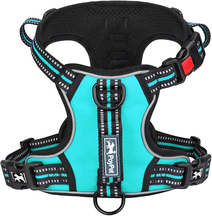 PoyPet No Pull Dog Harness, No Choke Front Clip Reflective Dog Vest with Soft Padded Vertical Handle, 3 Leash Attachments for Small Medium Large Dogs (Mint Blue,XL)