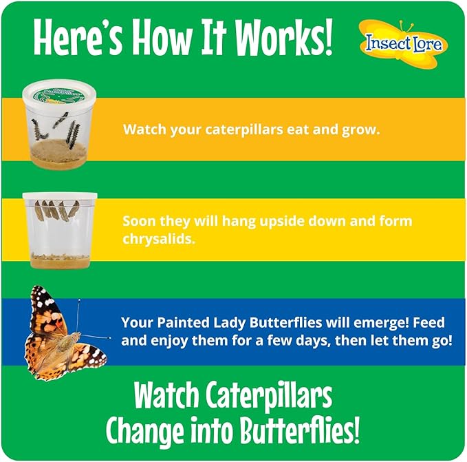 Insect Lore Butterfly Garden with Giant Birthday Card | 5 Live Baby Caterpillars | STEM Journal, Habitat, Chrys-A-Lid, Feeder | Raise and Release Painted Lady Butterflies
