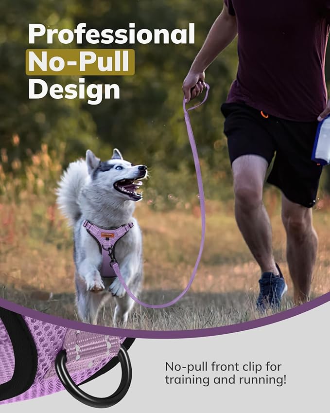MIDOG No-Pull Dog Harness | Adjustable & Reflective Pet Harness Leash Set for Small Medium Large Dogs Walking, Training| No Choke, Front Clip, Soft Padded Vest with Easy Control Handle - Purple, S