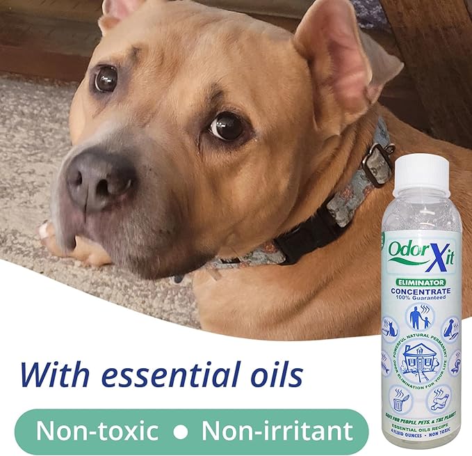Odor Eliminator Concentrate (4oz) + Magic Air Odor Neutralizer Spray (8oz) – Natural & Safe Odor Removal for Pets, Home & On-the-Go