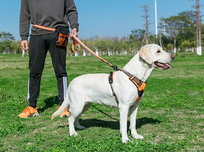 TRUE LOVE Truelove Adjustable No-Pull Dog Harness Reflective Pup Vest Harnesses Comfortable Control Brilliant Colors TLH5651(Orange,XS)
