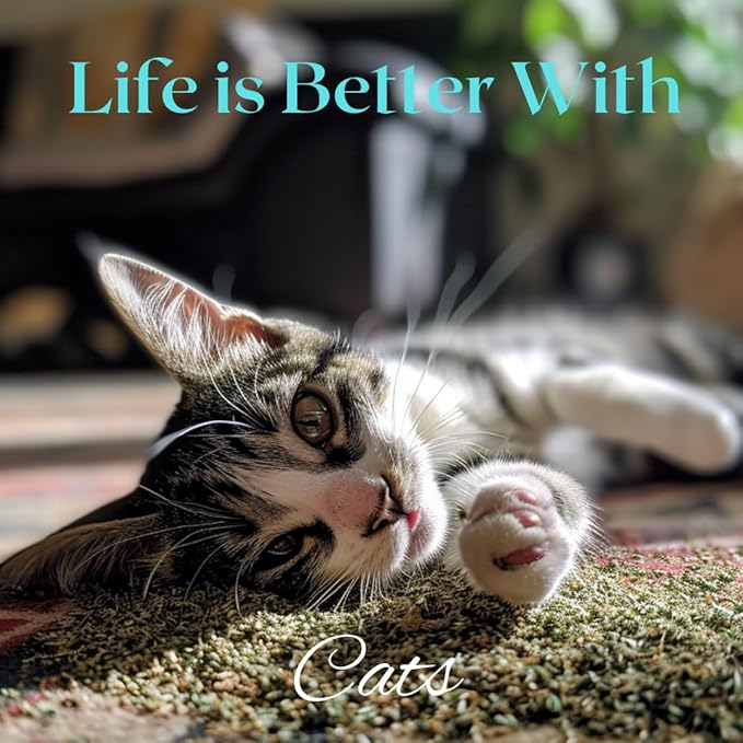 1oz Cat Nip for Cats, Turbo Charging Blend for Refillable Catnip Toys, 100% Essential Natural Cat Weed Treat, Non-Addictive, Enhancing Play for Indoor Cats