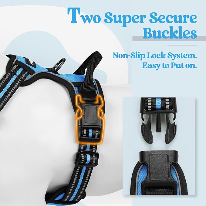 rabbitgoo Dog Harness No Pull with 2 Leash Clips, Adjustable Soft Padded, Reflective Oxford No Choke Pet Vest with Easy Control Handle for Small Dogs, Blue, S