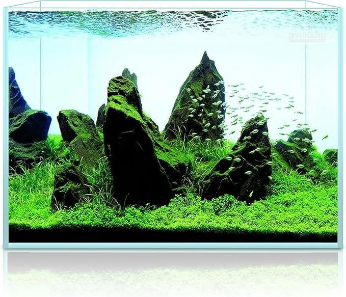 9.5 Gallon Rimless Aquarium, Ultra Clear Glass Low Iron Small Fish Tank for Betta, L15.7×W11.8×H11.8 Inches Thickness 5mm with EVA Foam Mat Included