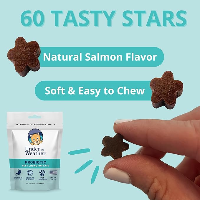 Under The Weather Pet Probiotic Chews for Cats | Promotes Normal Digestion, Balances Healthy Gut Health | 60 Star Shaped Soft Chews