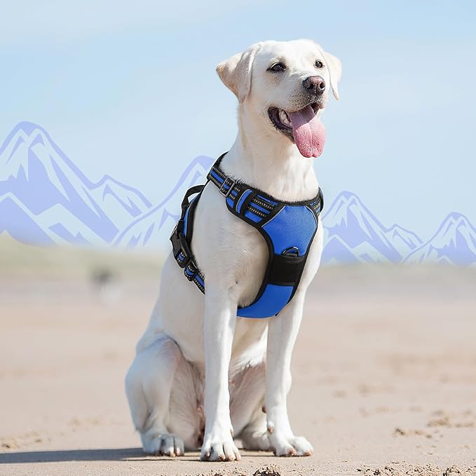 Eagloo Dog Harness for Large Dogs, No Pull Service Vest with Reflective Strips and Control Handle, Adjustable and Comfortable for Easy Walking, No Choke Pet Harness with 2 Metal Rings, Blue, L