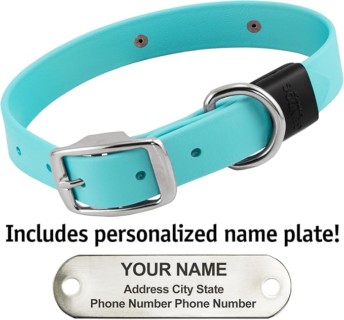 Biothane Custom Dog Collar – Waterproof, Stink-Proof Personalized Collar with Name & Phone Number – Durable, Many Sizes and Colors – Assembled in USA (Sky Blue)