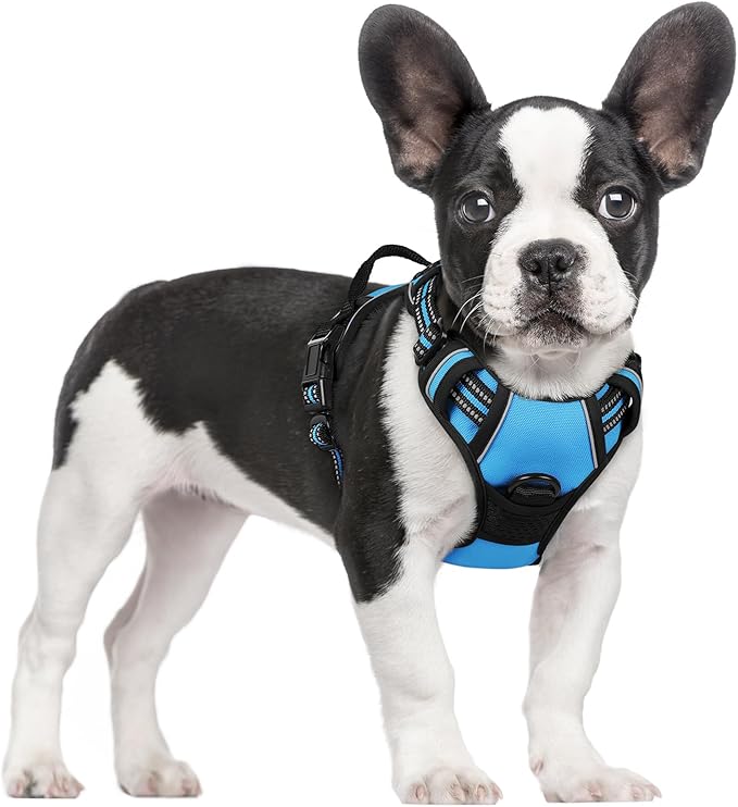 rabbitgoo Dog Harness No Pull with 2 Leash Clips, Adjustable Soft Padded, Reflective Oxford No Choke Pet Vest with Easy Control Handle for Small Dogs, Blue, S