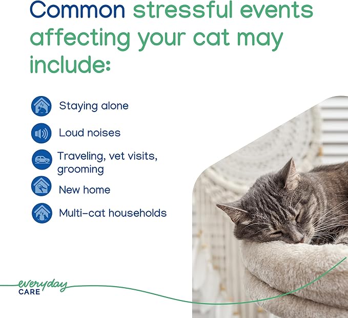 Virbac Zenifel Gel Diffuser for Managing Stress-Related Behaviors in Kittens & Cats - No Electricity Needed - Lasts Up to 2 Months - 1 Diffuser