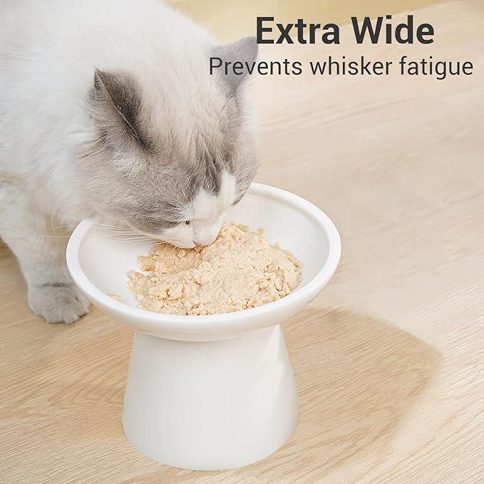 Extra Wide Elevated Ceramic Cat Bowl, 6.2" Shallow Dish for Whisker Fatigue Relief, 5" Height for Easy Feeding, Durable Raised Cat Food Bowls, Pack of 2, White