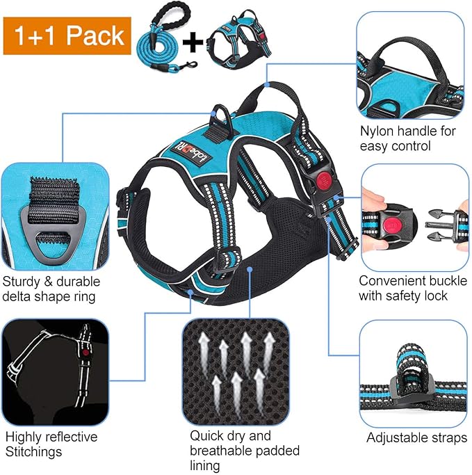 No Pull Dog Harness Adjustable Reflective Oxford Easy Control Medium Large Dog Harness with A Free Heavy Duty 5ft Dog Leash (M (Neck: 14.5"-20.5", Chest: 22"-28"), Blue Harness+Leash)