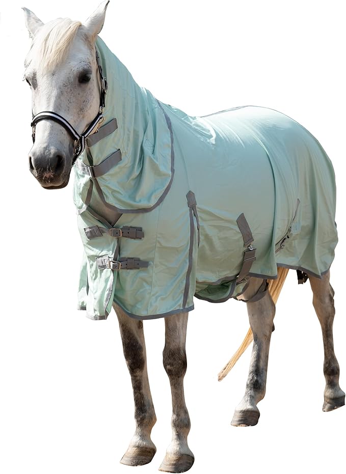 Horse Fly Sheet with Detachable Neck Cover & Belly Wrap, Adjustable Fly Sheet for Horses, Ventilated Airflow Mesh Equine Cooling Summer Flysheet Green 84